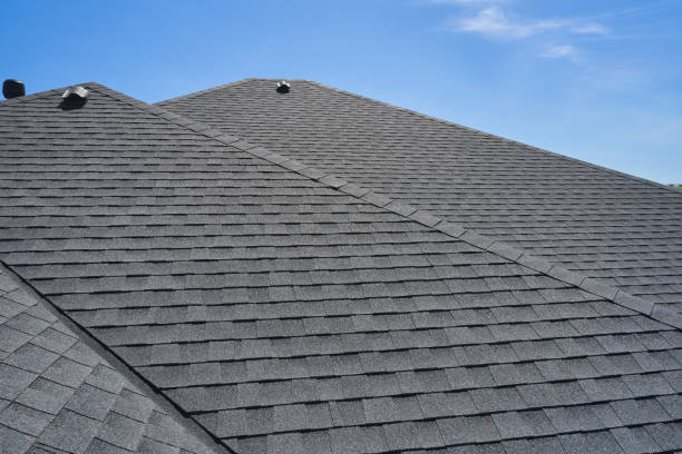 Best Sheet Metal Roofing  in Palatine, IL